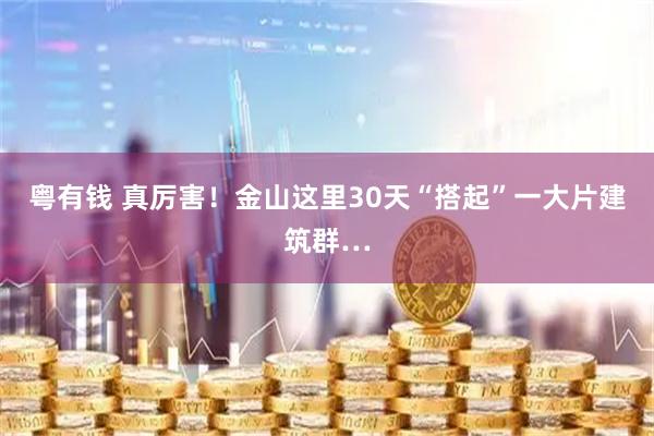 粤有钱 真厉害！金山这里30天“搭起”一大片建筑群…
